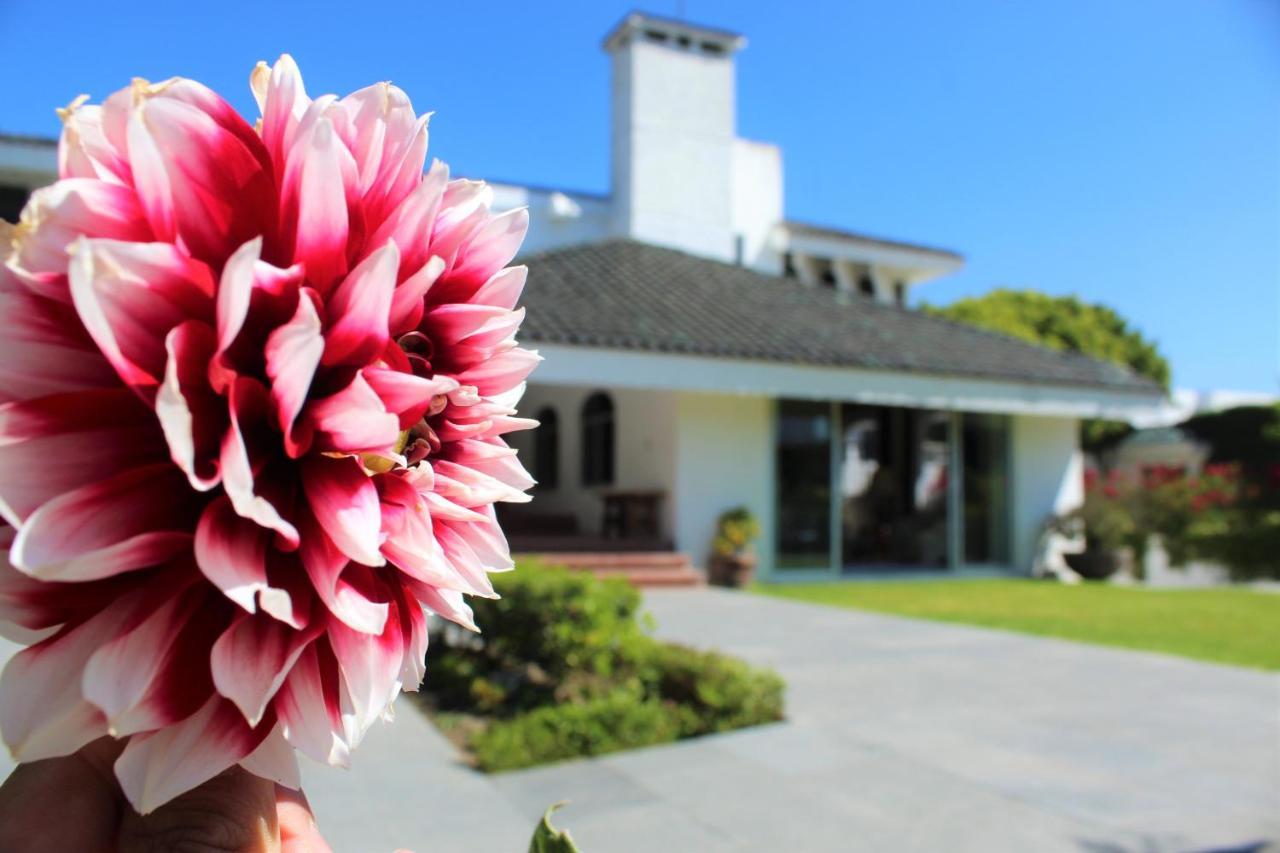 Santo Refugio Heritage Hotel San Pedro Cholula Kültér fotó